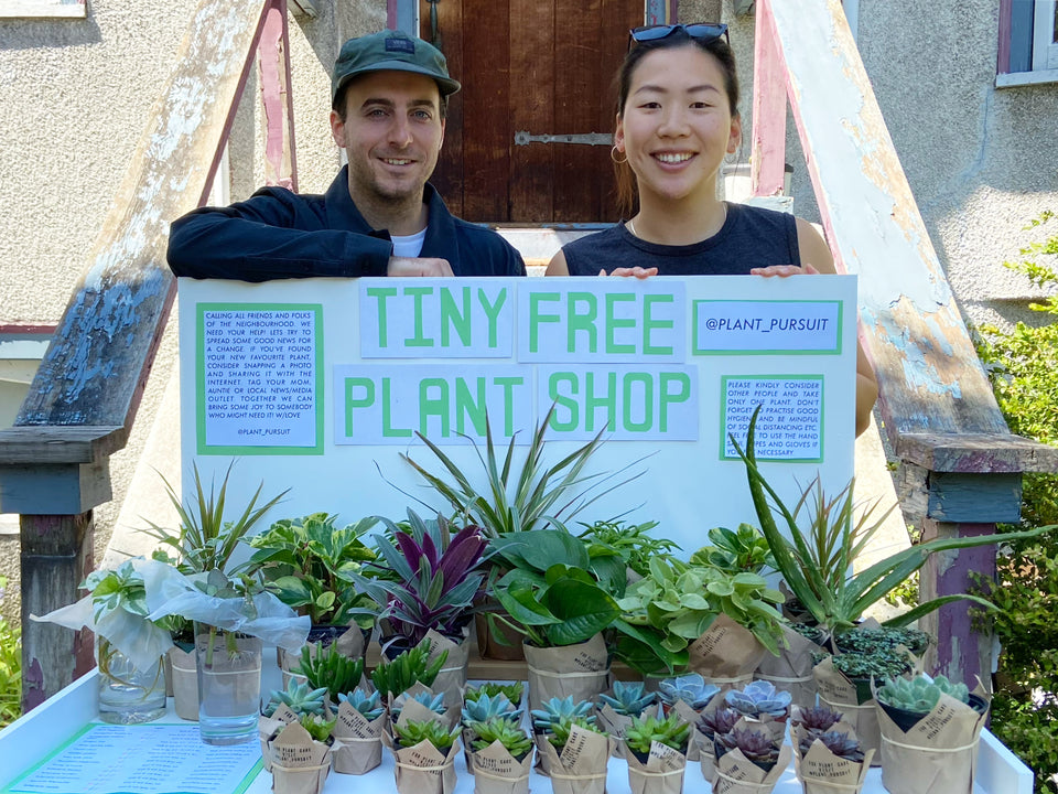 Tiny Free Plant Pop Up Shop